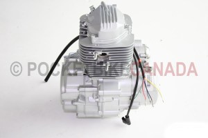 engine 813 250cc w. reverse2